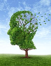 Auf dem Bild ist ein Baum auf einer Wiese zu sehen. Die Krone des Baumes ist so gestaltet, dass sie wie der Kopf eines Menschen aussieht. Ein Teil der Blätter an der Krone ist verloren gegangen, was als Symbol für Demenz steht.